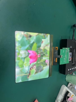 8 इंच एमोलेड डिस्प्ले मॉड्यूल 1860×2480 MIPI इंटरफ़ेस ड्राइविंग IC RM69380 430C/D